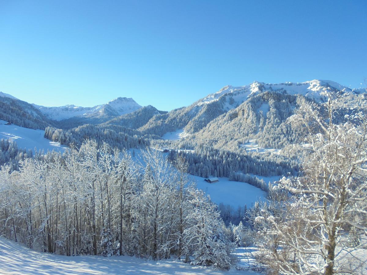 Appartamento Ferienhaus Nussbaumer Sibratsgfäll Esterno foto